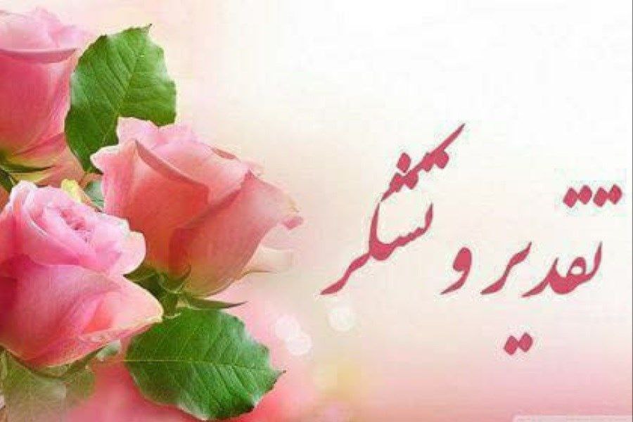 مراقبت پرواز