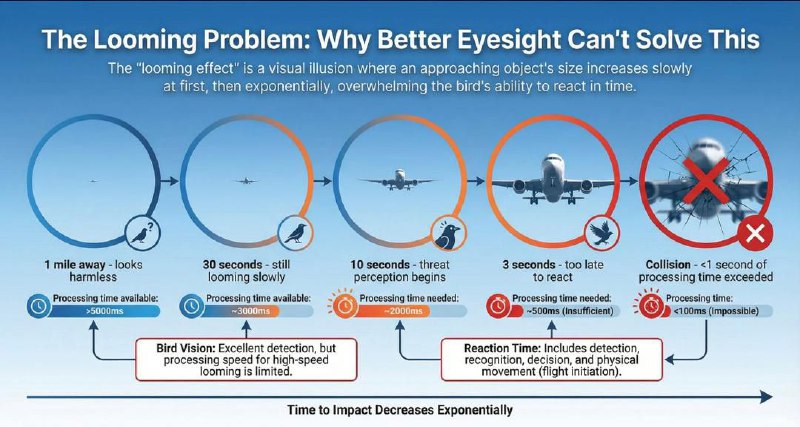 مراقبت پرواز